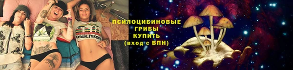 2c-b Арсеньев