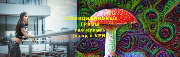 прущий лед Аркадак